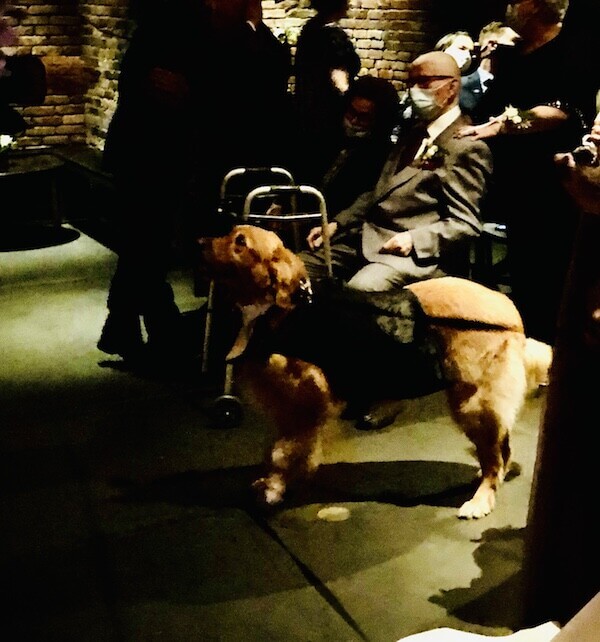 Dog at wedding at the Foundry Long Island City