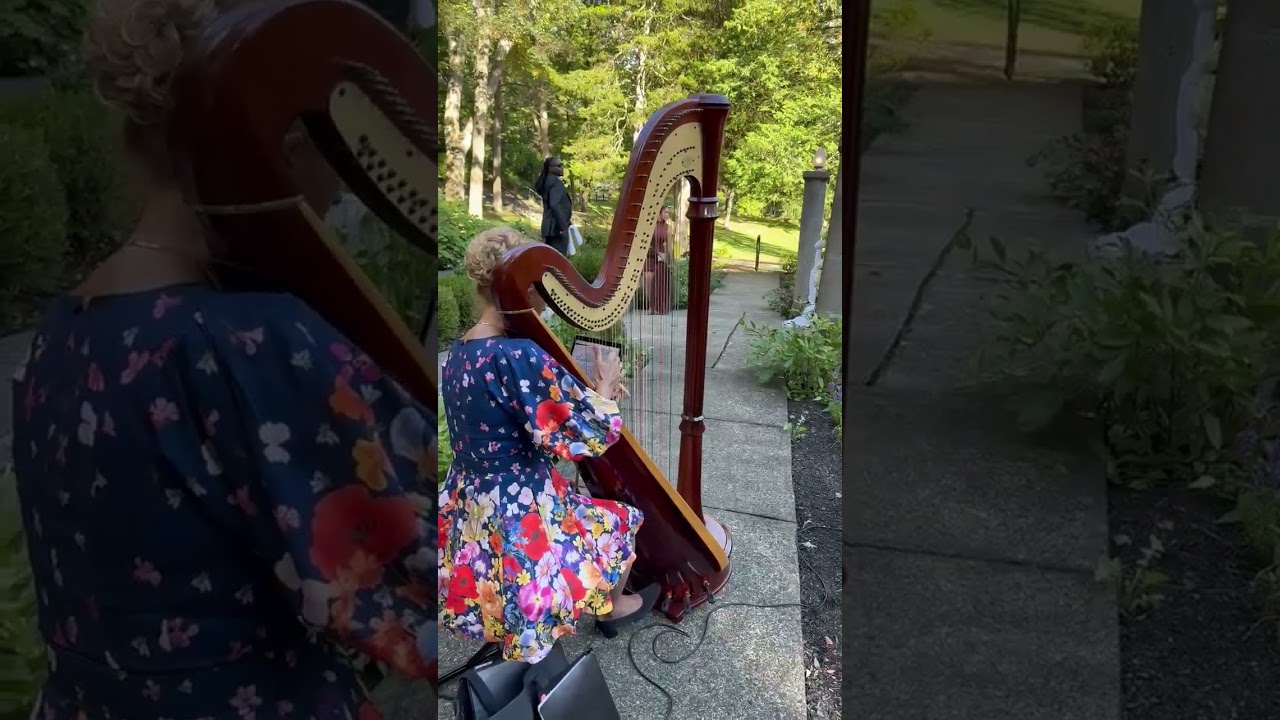 Expressway Music Harpist during Wedding Recessional